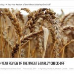 2 year wheat and barley
