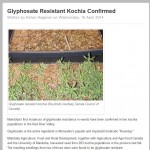 Glyphosate Resistant