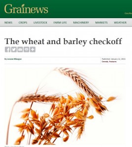 Grain News