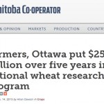 Manitoba Cooperator wheat cluster