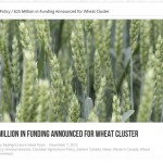Real Ag wheat cluster