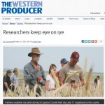 Researchers keep eye on rye