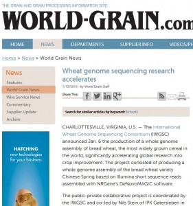 world grain genome
